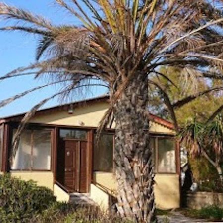 Summerhouse Peggy: Close To Athens Airport By The Sea Artemida  Eksteriør billede