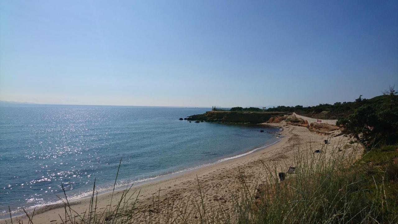 Summerhouse Peggy: Close To Athens Airport By The Sea Artemida  Eksteriør billede